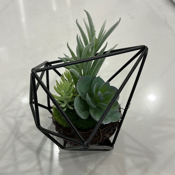 Decorative Faux Succulent in a Nest - Picture 1 of 4